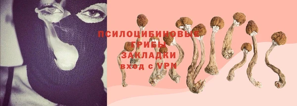 COCAINE Майский