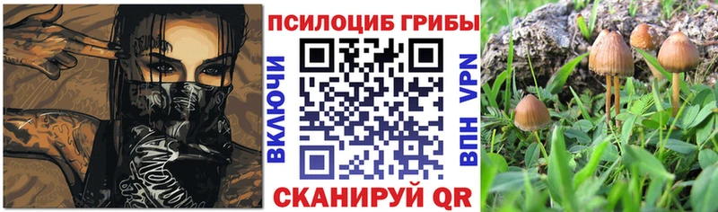Псилоцибиновые грибы Cubensis  Сухой Лог 