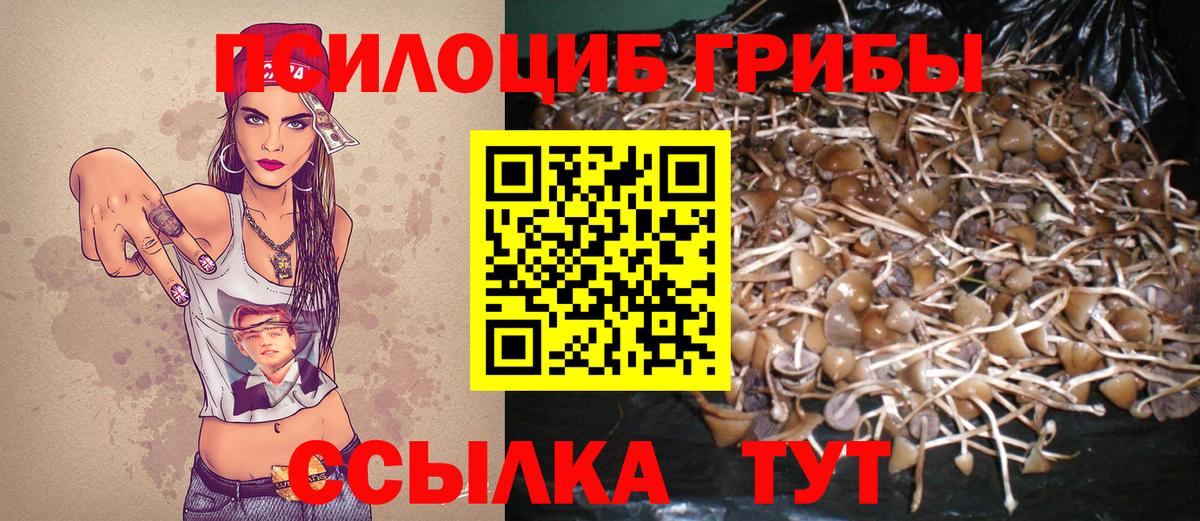 Псилоцибиновые грибы прущие грибы Сухой Лог
