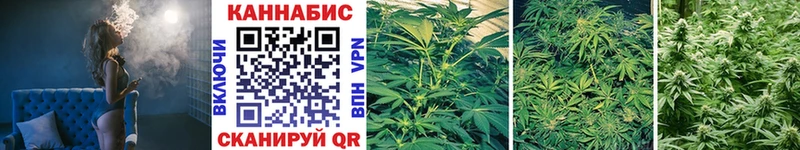 нарко площадка телеграм  Сухой Лог  Конопля SATIVA & INDICA 